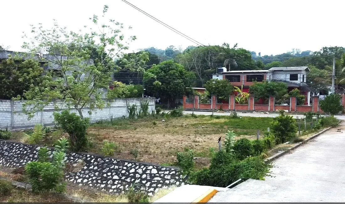 Veracruz: el estado que la mayoría subestima como mercado